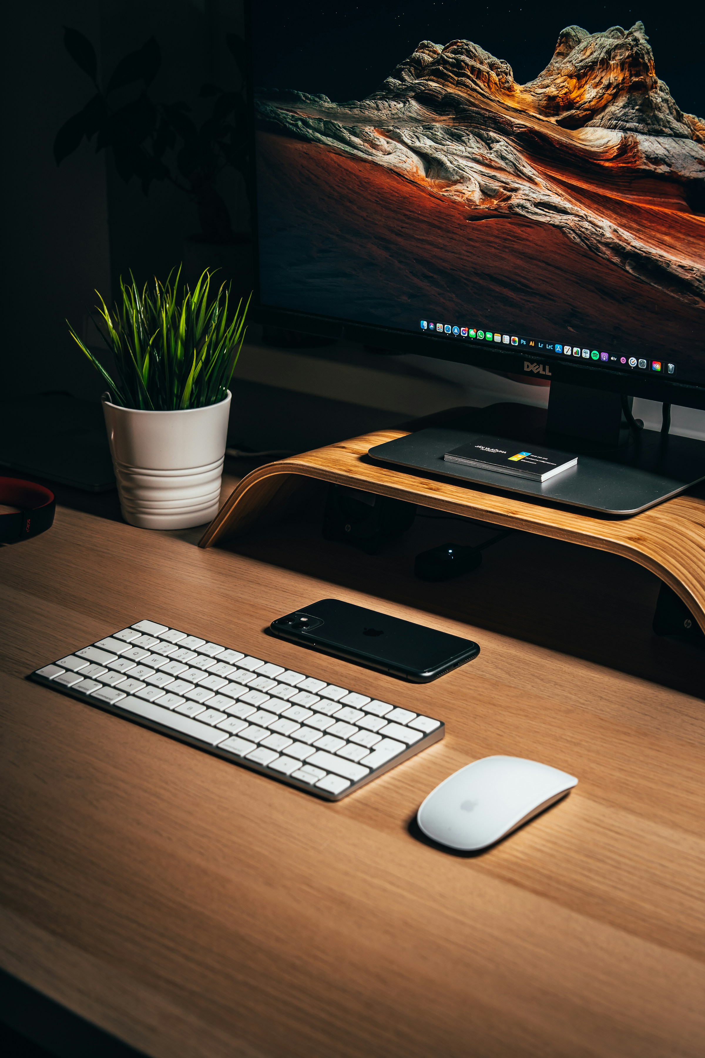 Desk setup with monitor, plant and keyboard